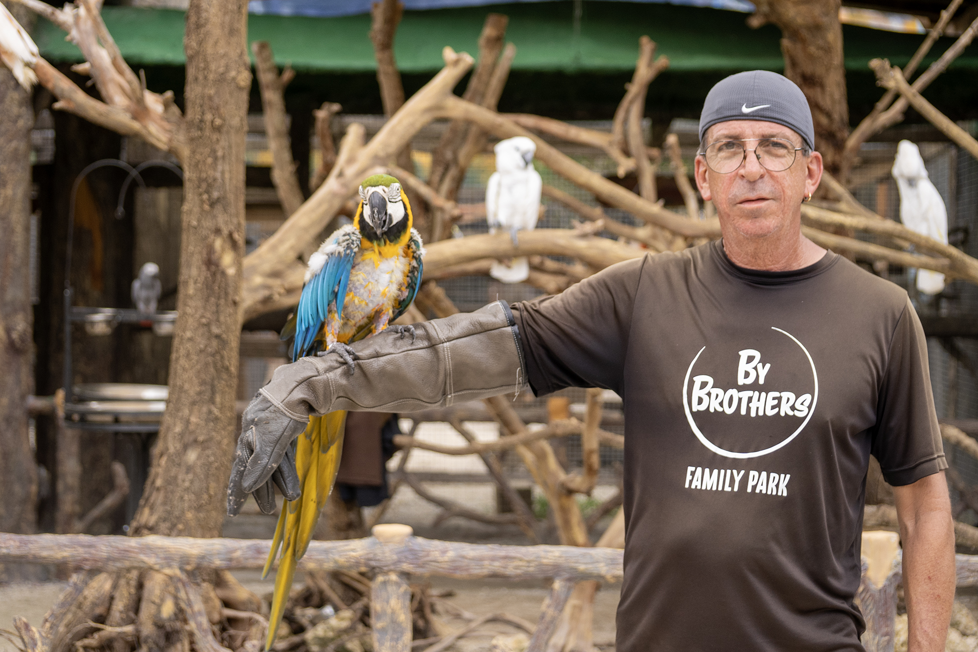 Top Agritourism Business Strategies in Homestead