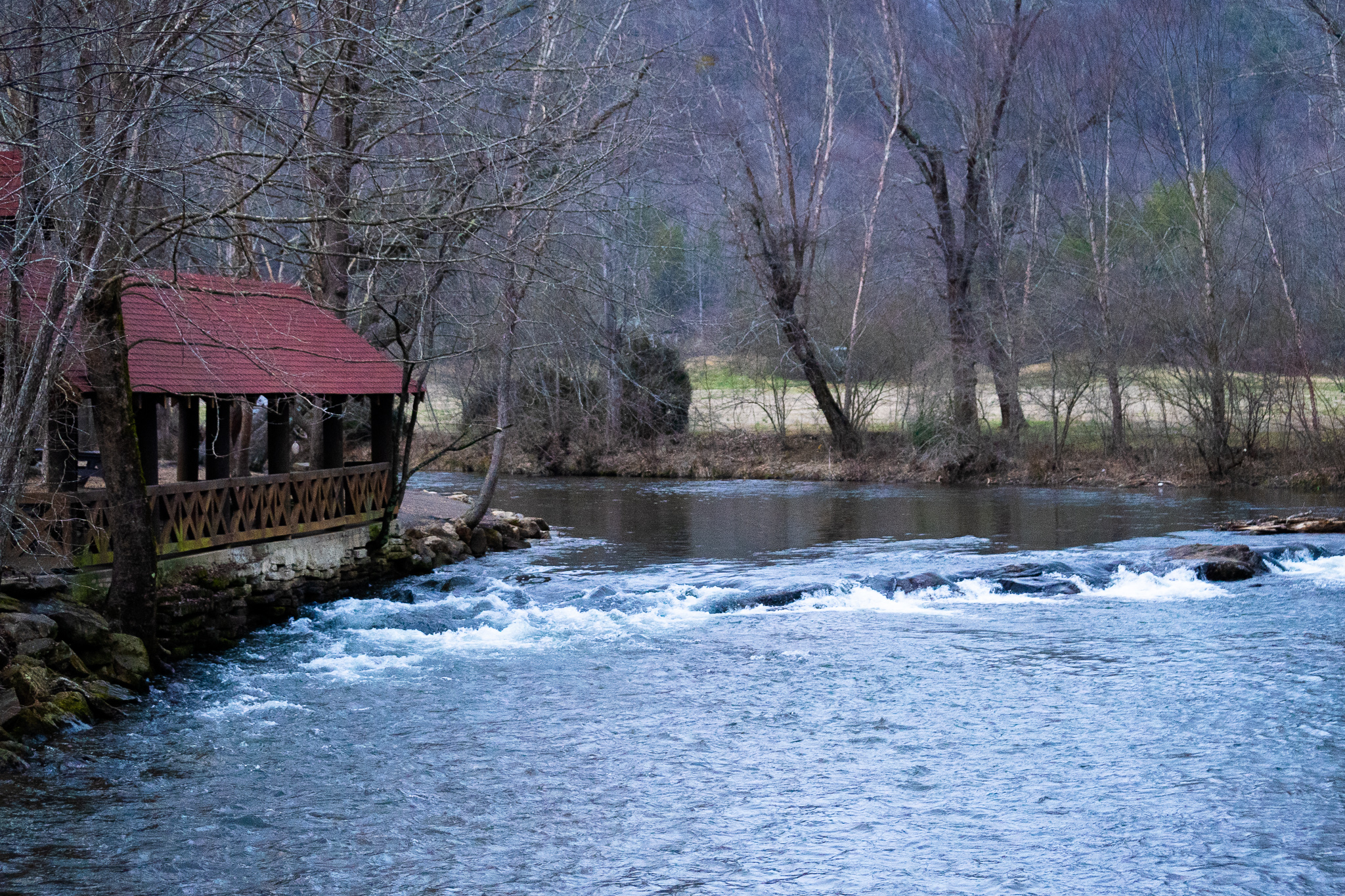 Hospitality and Business Opportunities in Helen, Georgia