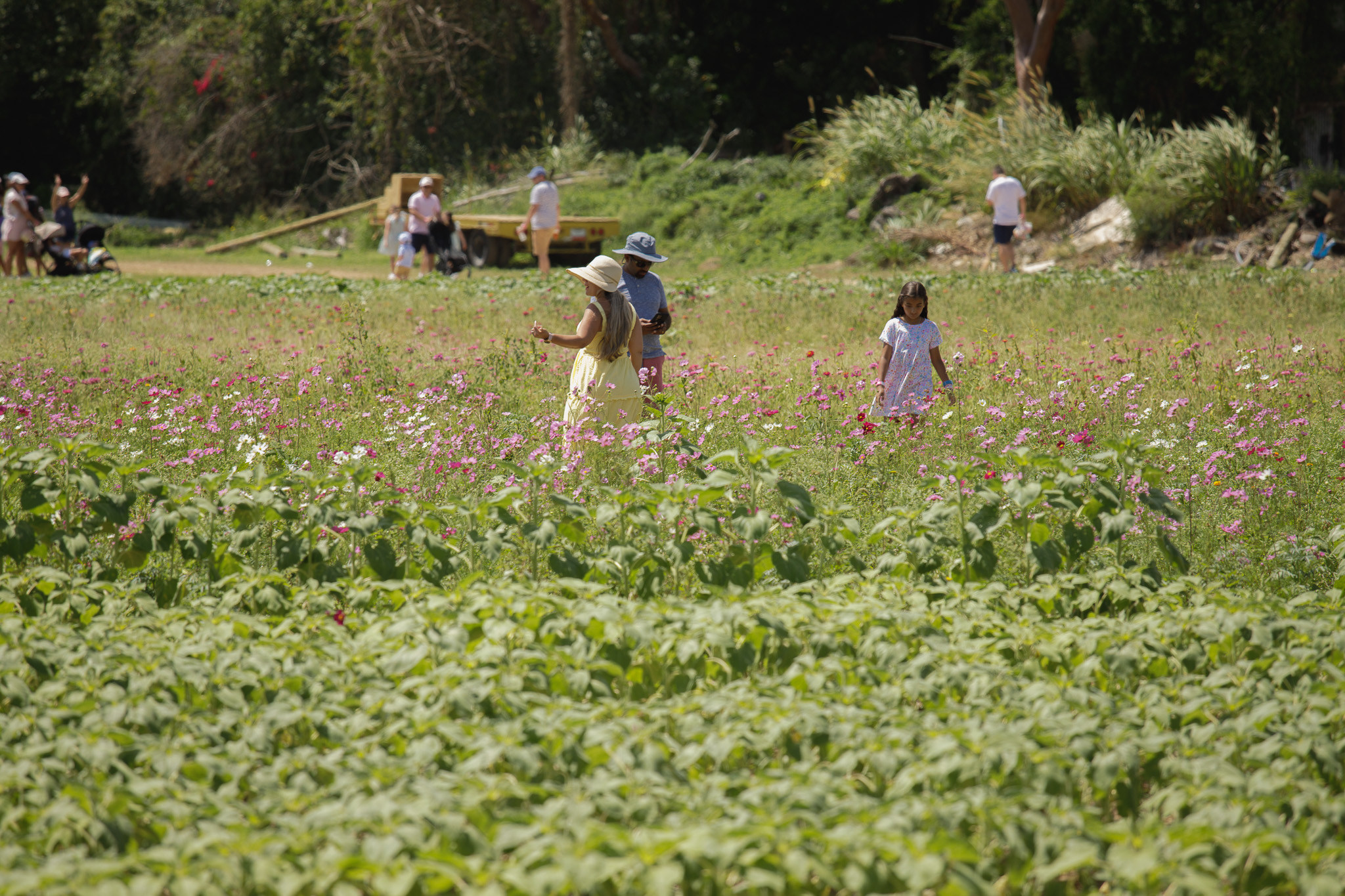 Top Agritourism Business Strategies in Homestead